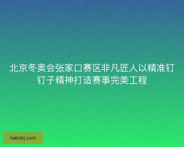 北京冬奥会张家口赛区非凡匠人以精准钉钉子精神打造赛事完美工程