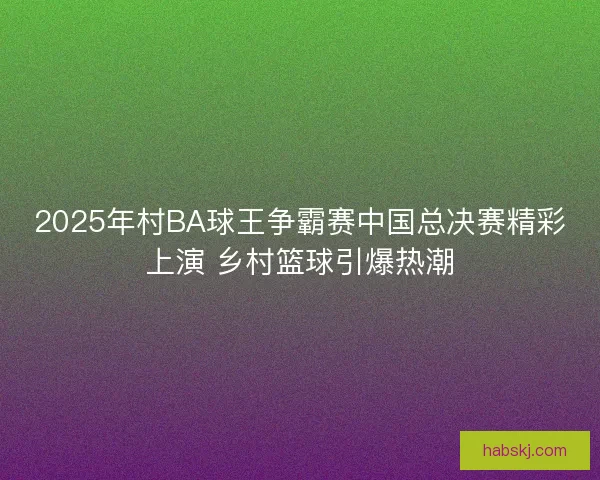 2025年村BA球王争霸赛中国总决赛精彩上演 乡村篮球引爆热潮